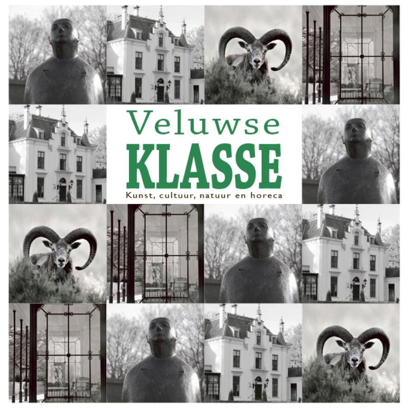 Omslag van Veluwse Klasse