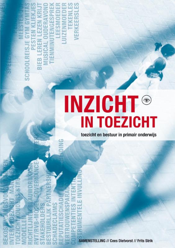 Omslag van Inzicht in toezicht