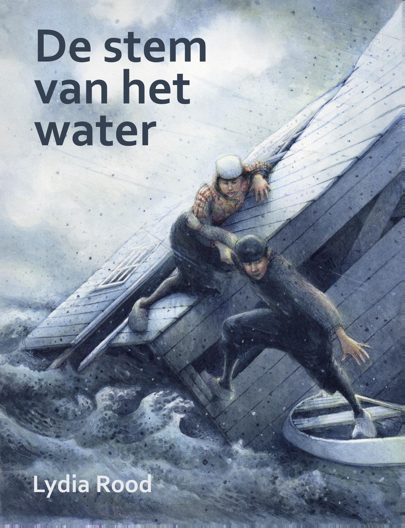 Omslag van De stem van het water