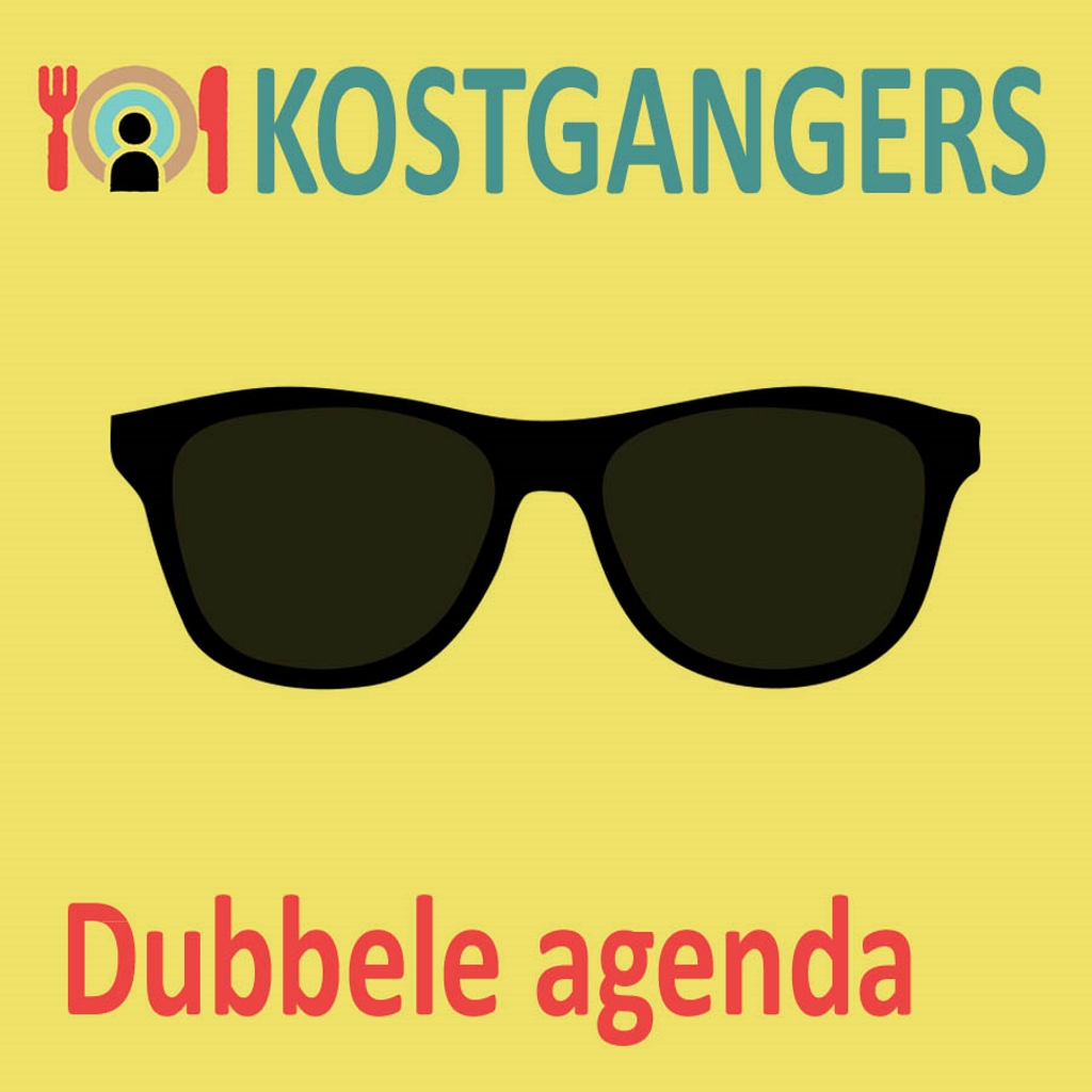 Omslag van Dubbele agenda