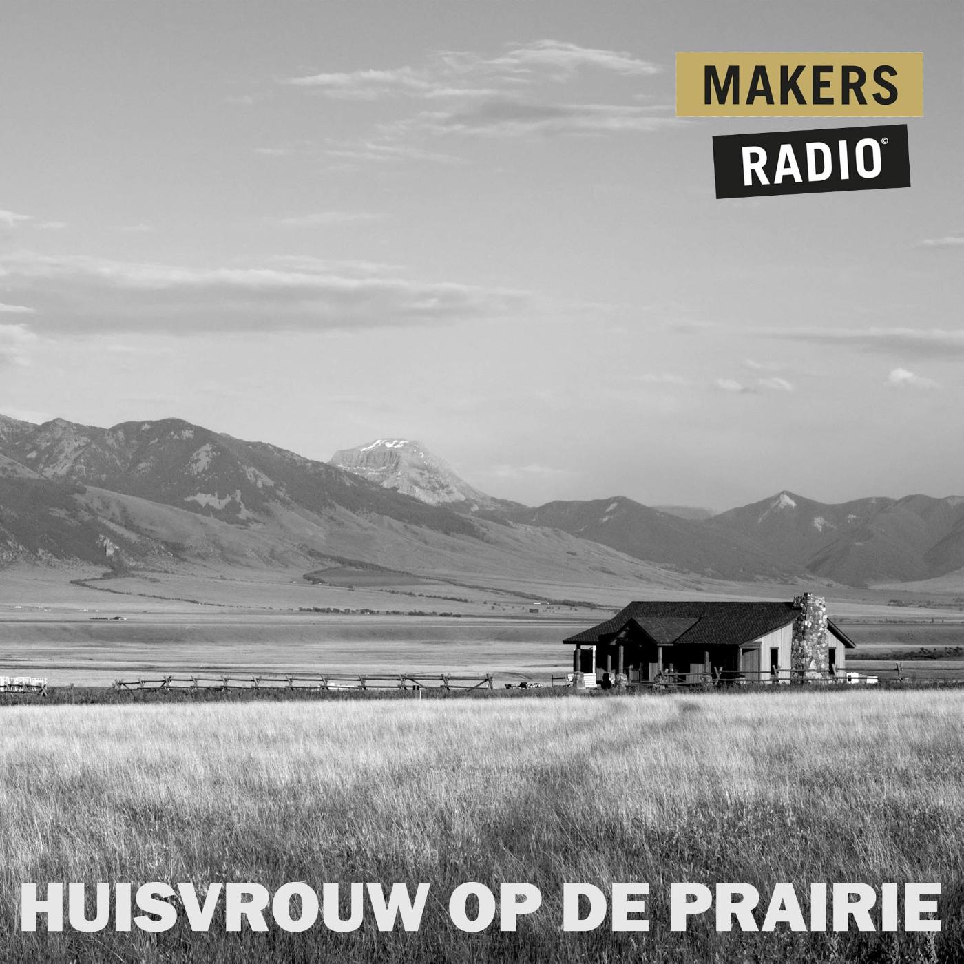 Omslag van Huisvrouw op de prairie