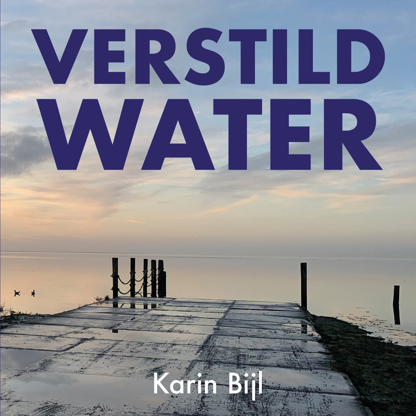 Omslag van Verstild water