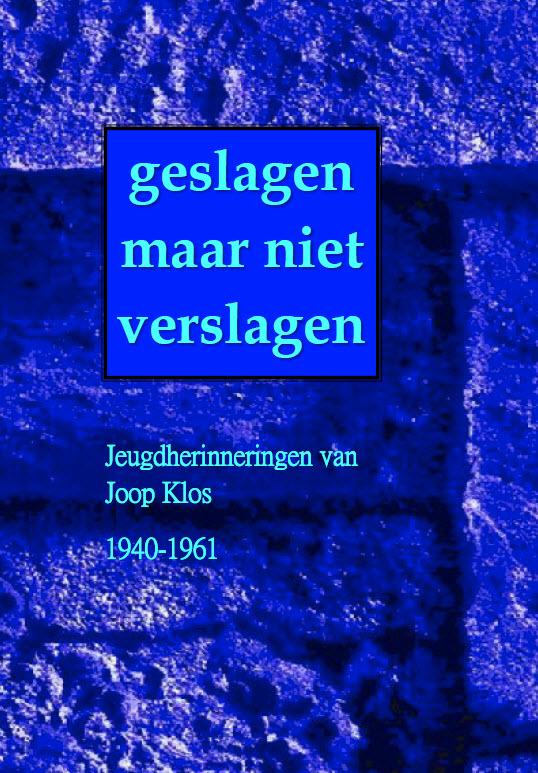 Omslag van Geslagen maar niet verslagen