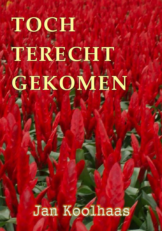 Omslag van Toch terecht gekomen