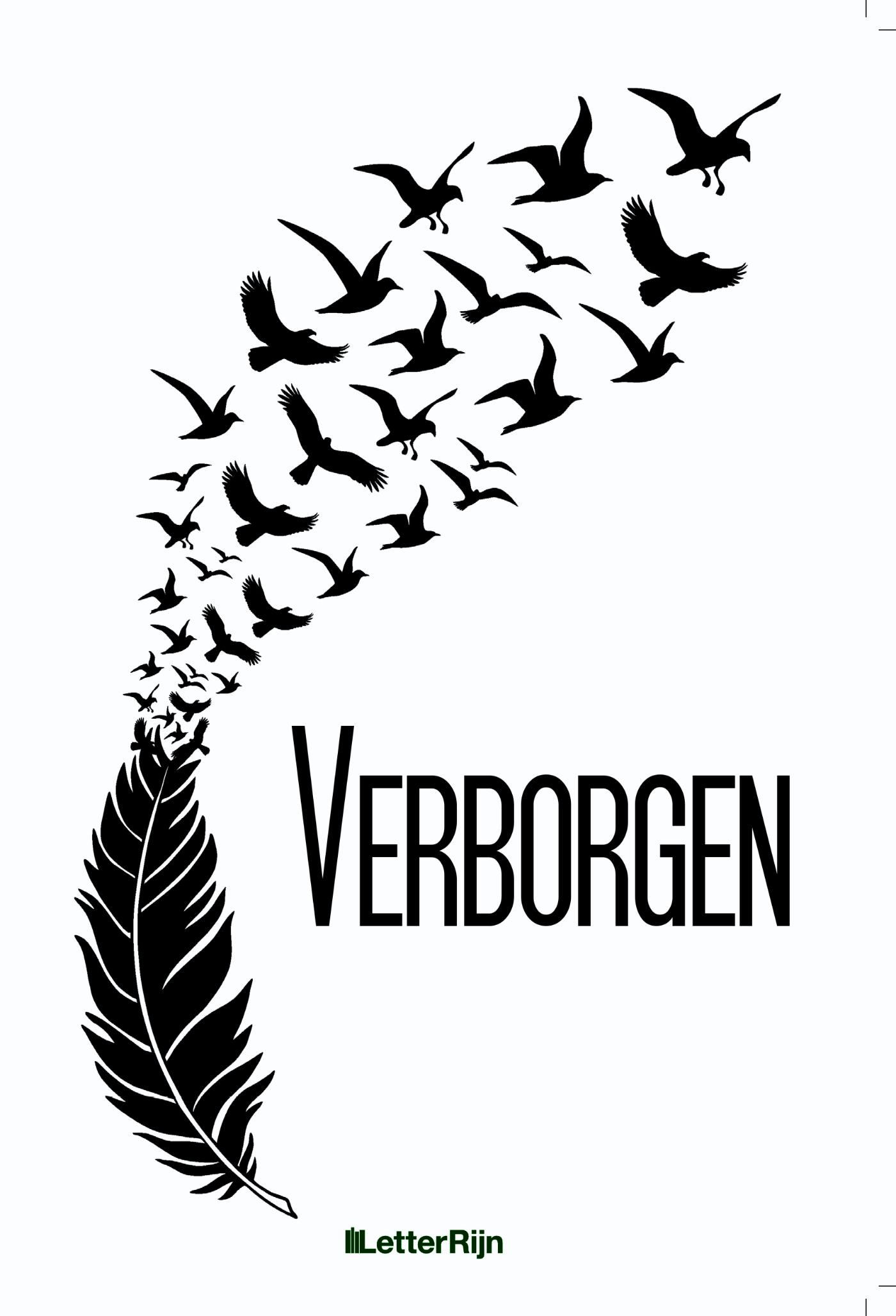Omslag van Verborgen