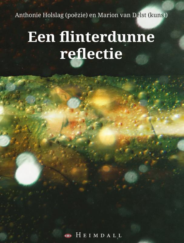 Omslag van Een flinterdunne reflectie