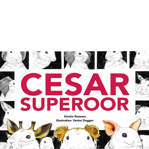 Omslag van Cesar superoor