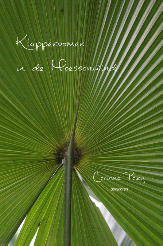 Omslag van Klapperbomen in de Moessonwind