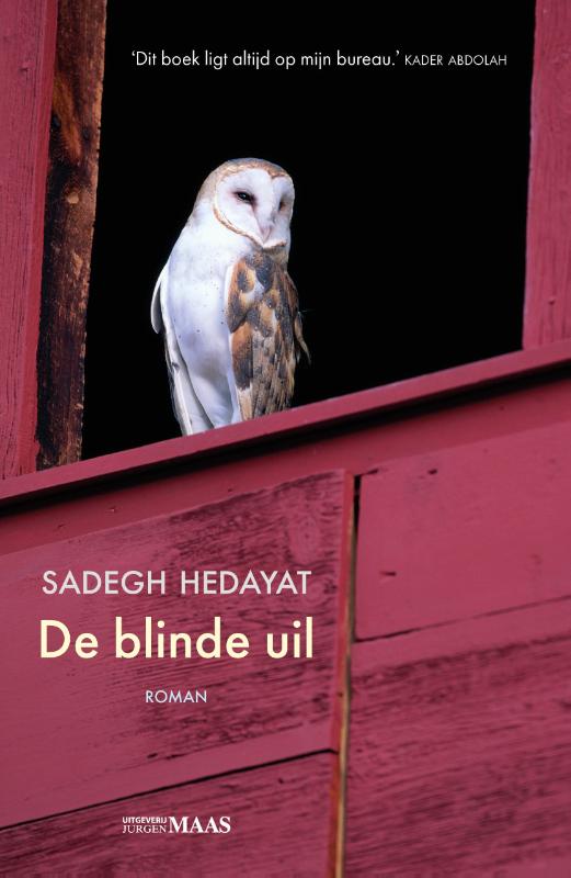 Omslag van De blinde uil