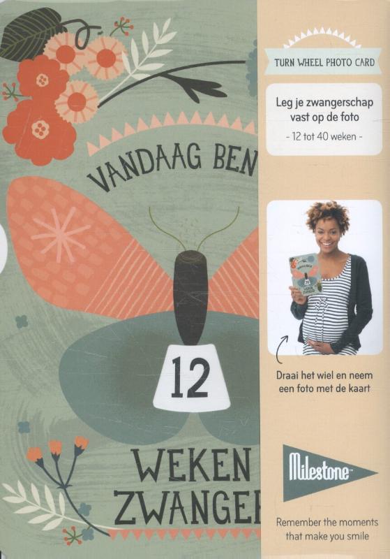 Omslag van Turn wheel photo cards pregnancy