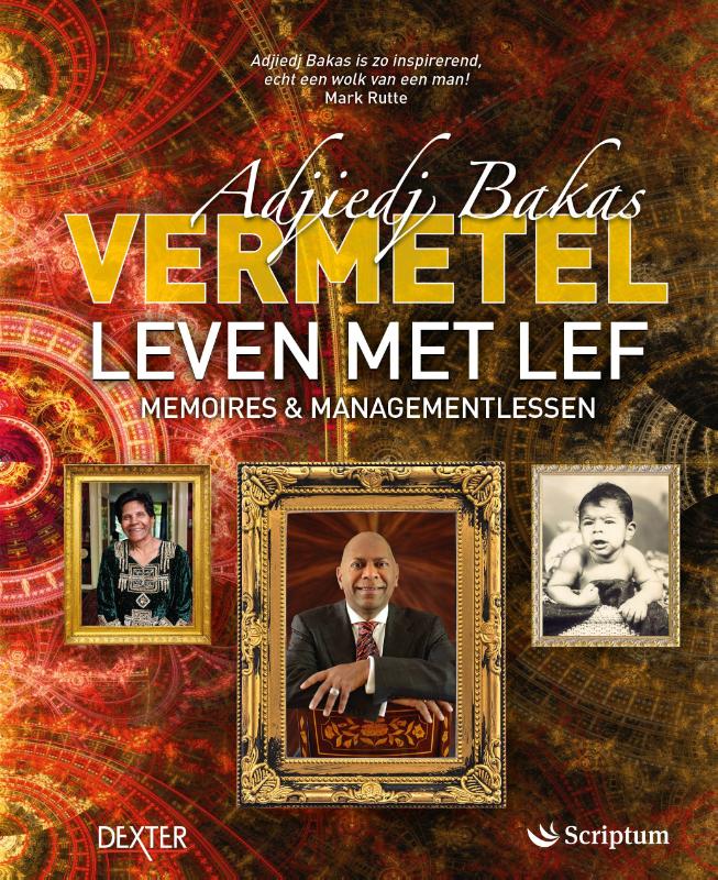 Omslag van Vermetel Leven met lef