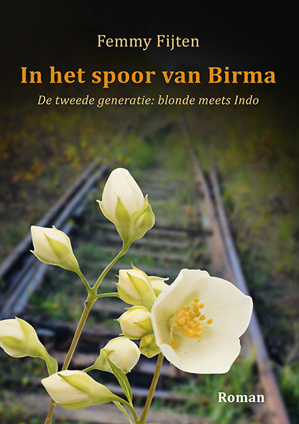 Omslag van In het spoor van Birma