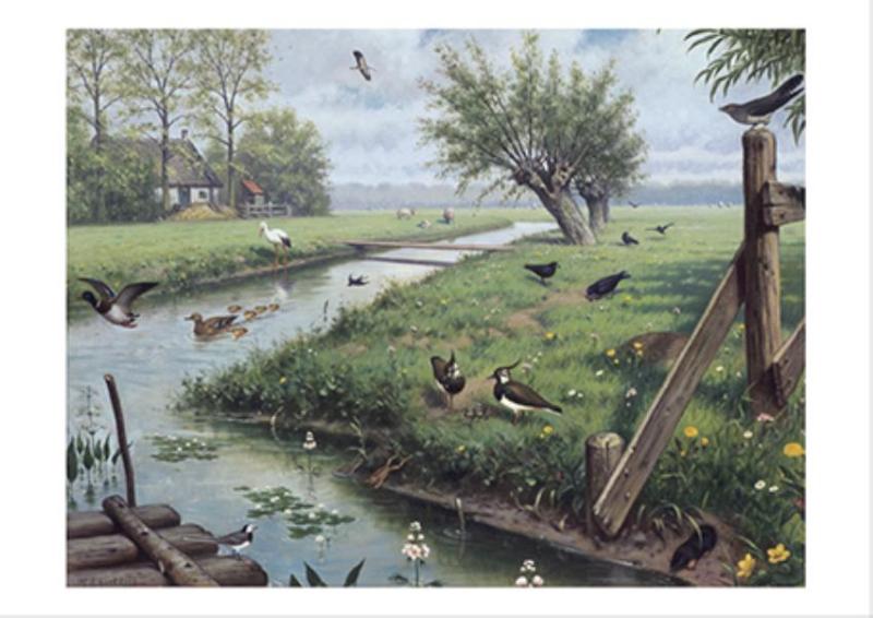 Omslag van In de weide