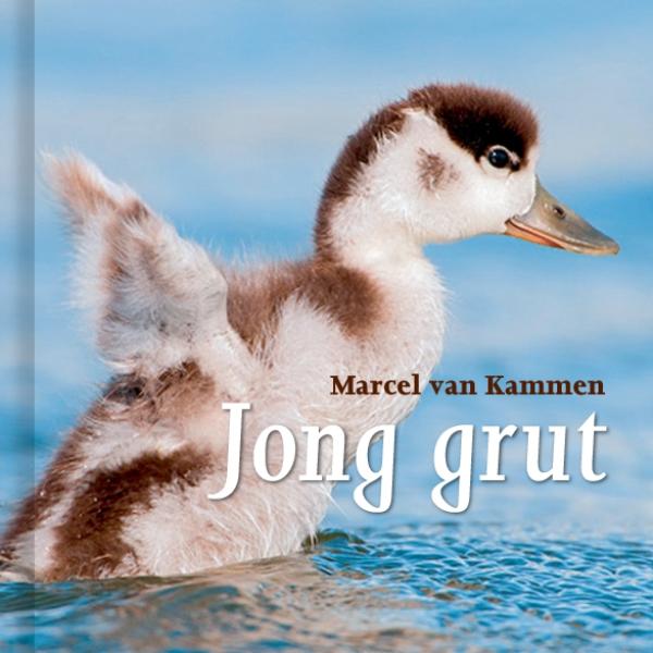 Omslag van Jong grut