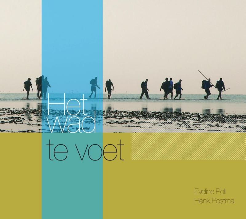 Omslag van Het wad te voet