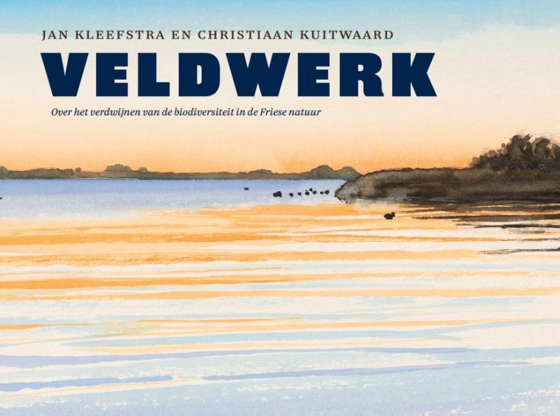 Omslag van Veldwerk