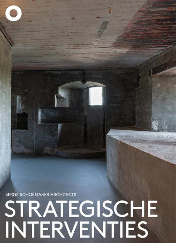 Omslag van Strategische interventies