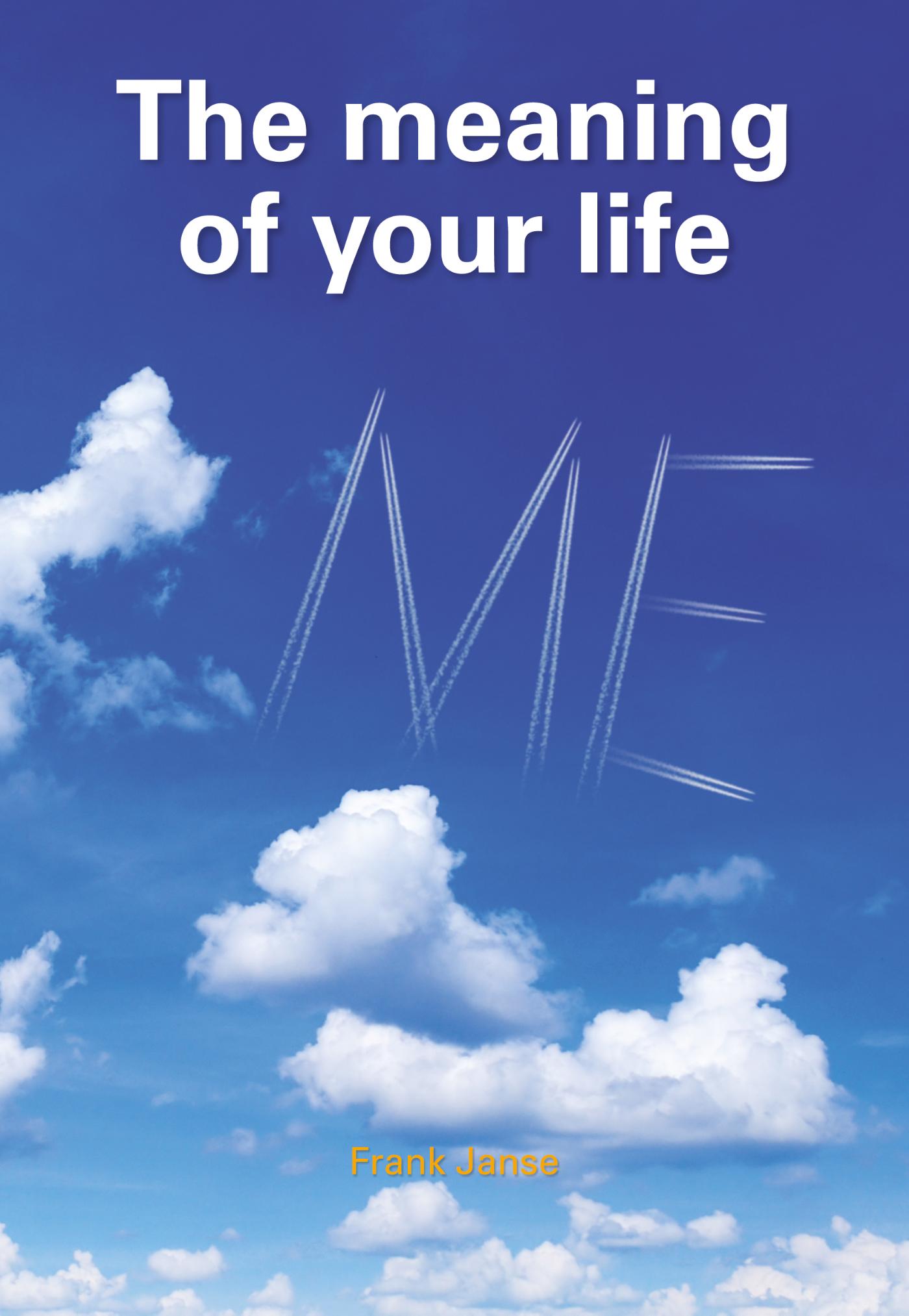 Omslag van The meaning of your life