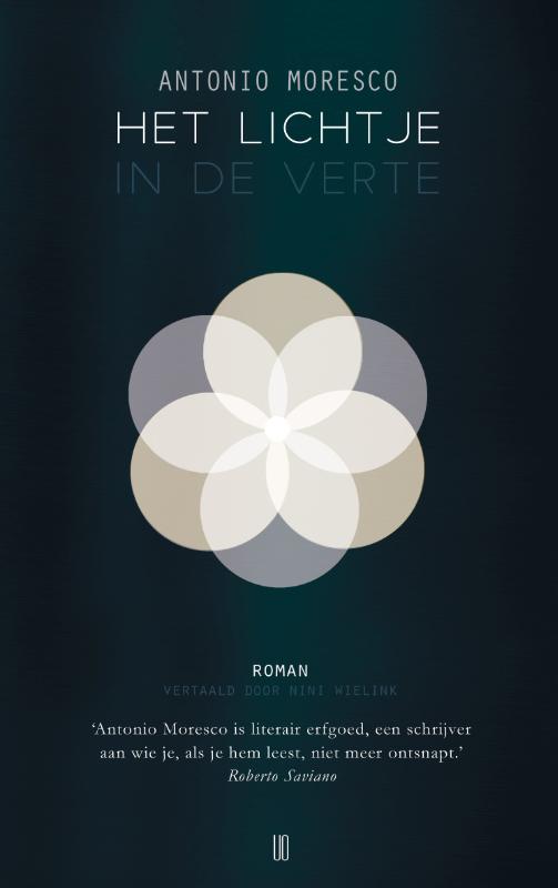 Omslag van Het lichtje in de verte