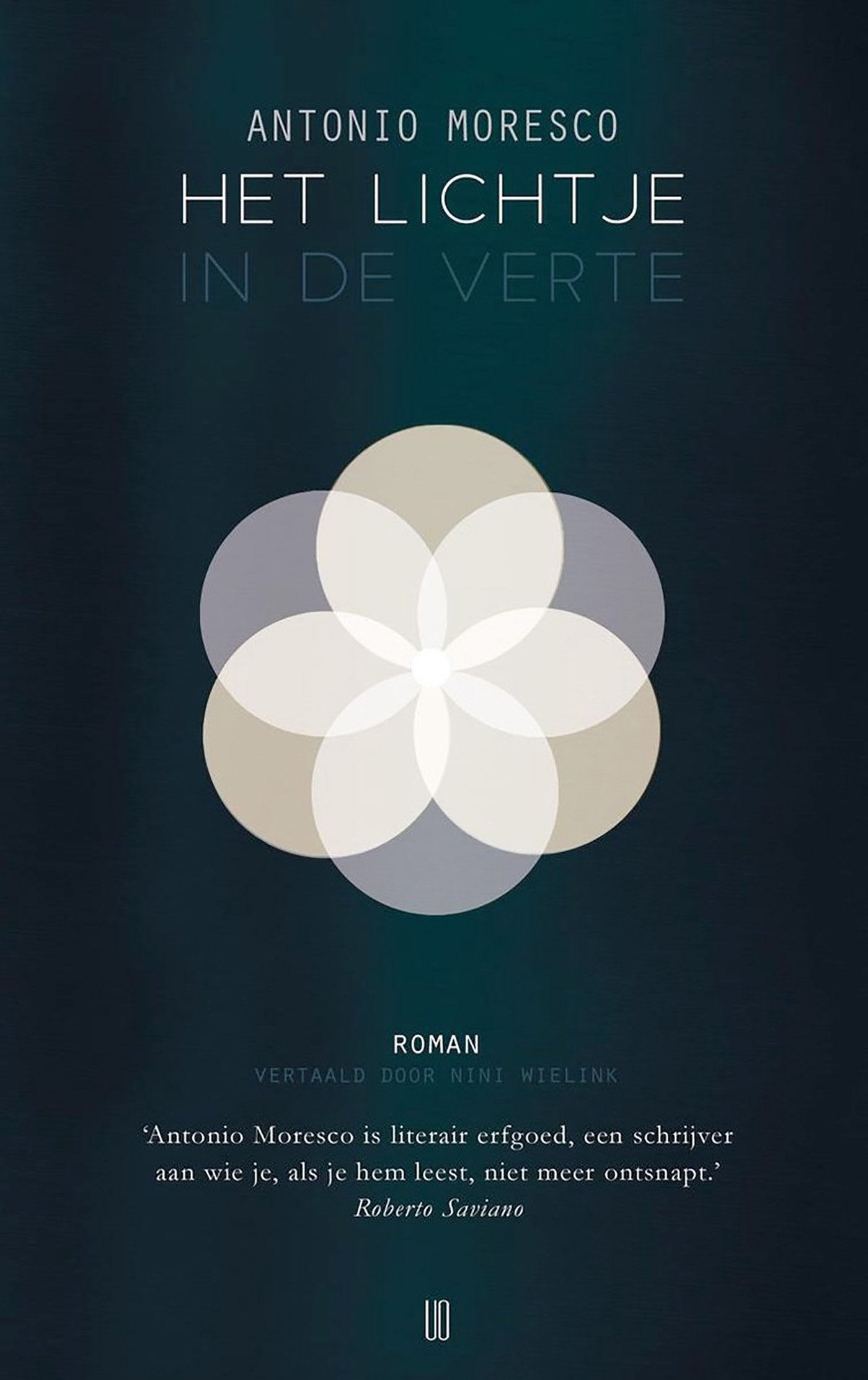 Omslag van Het lichtje in de verte