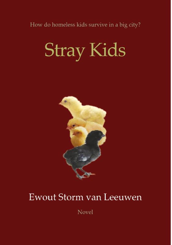 Omslag van Stray Kids