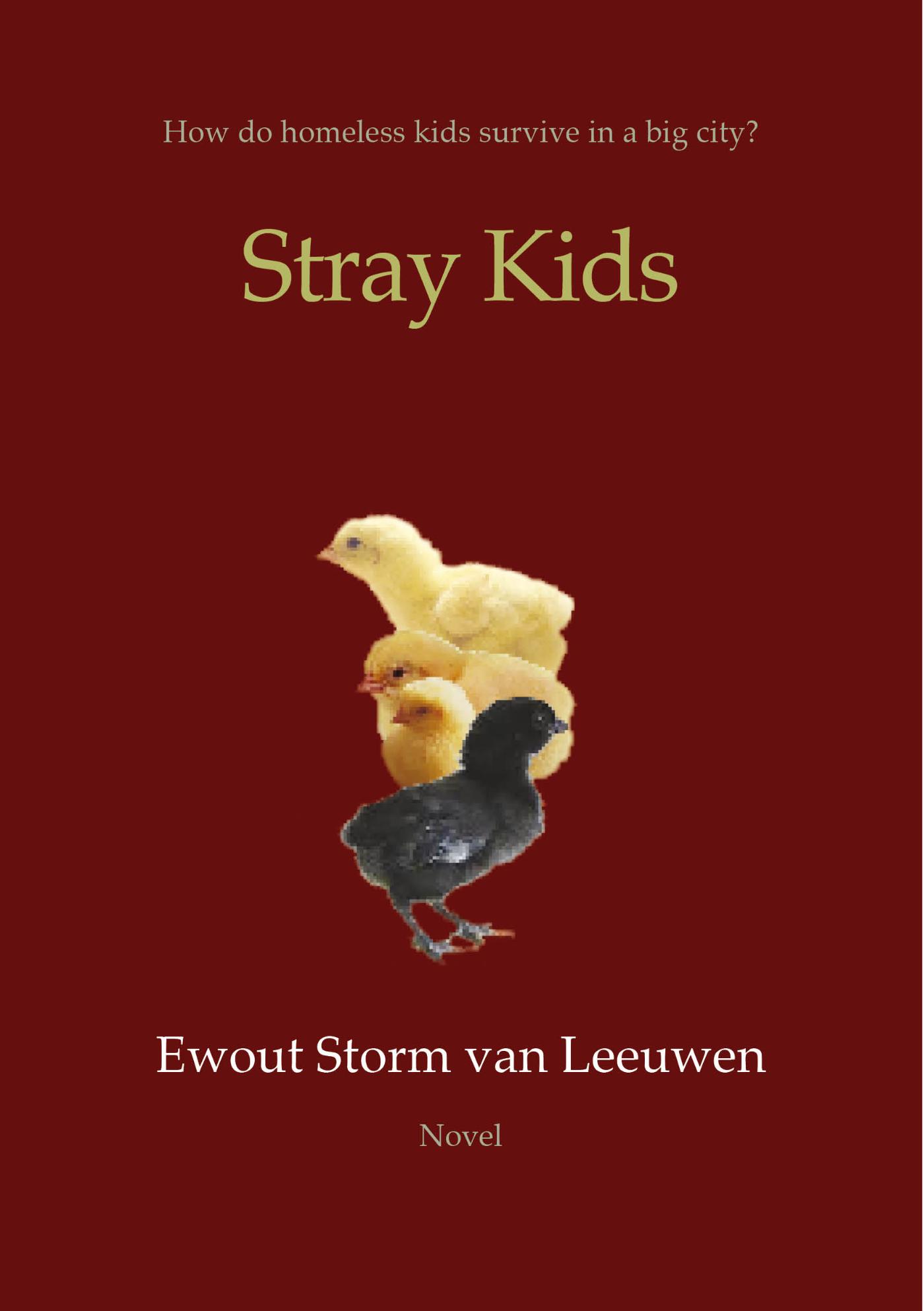 Omslag van Stray Kids