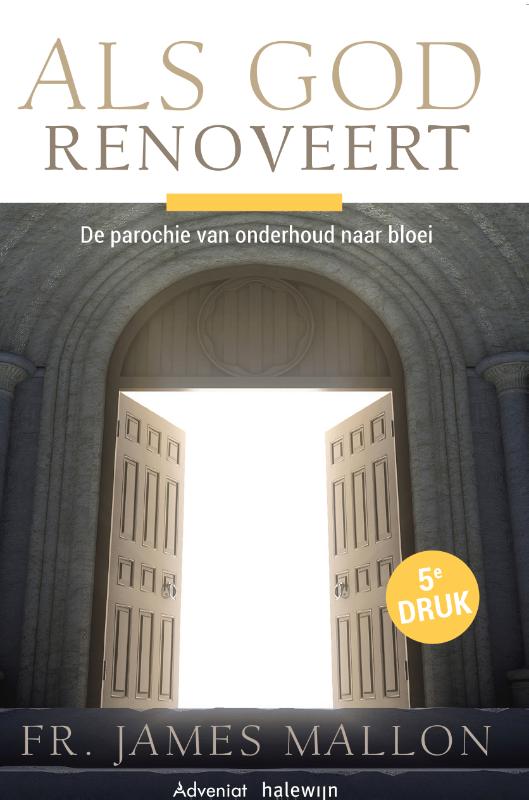 Omslag van Als God renoveert