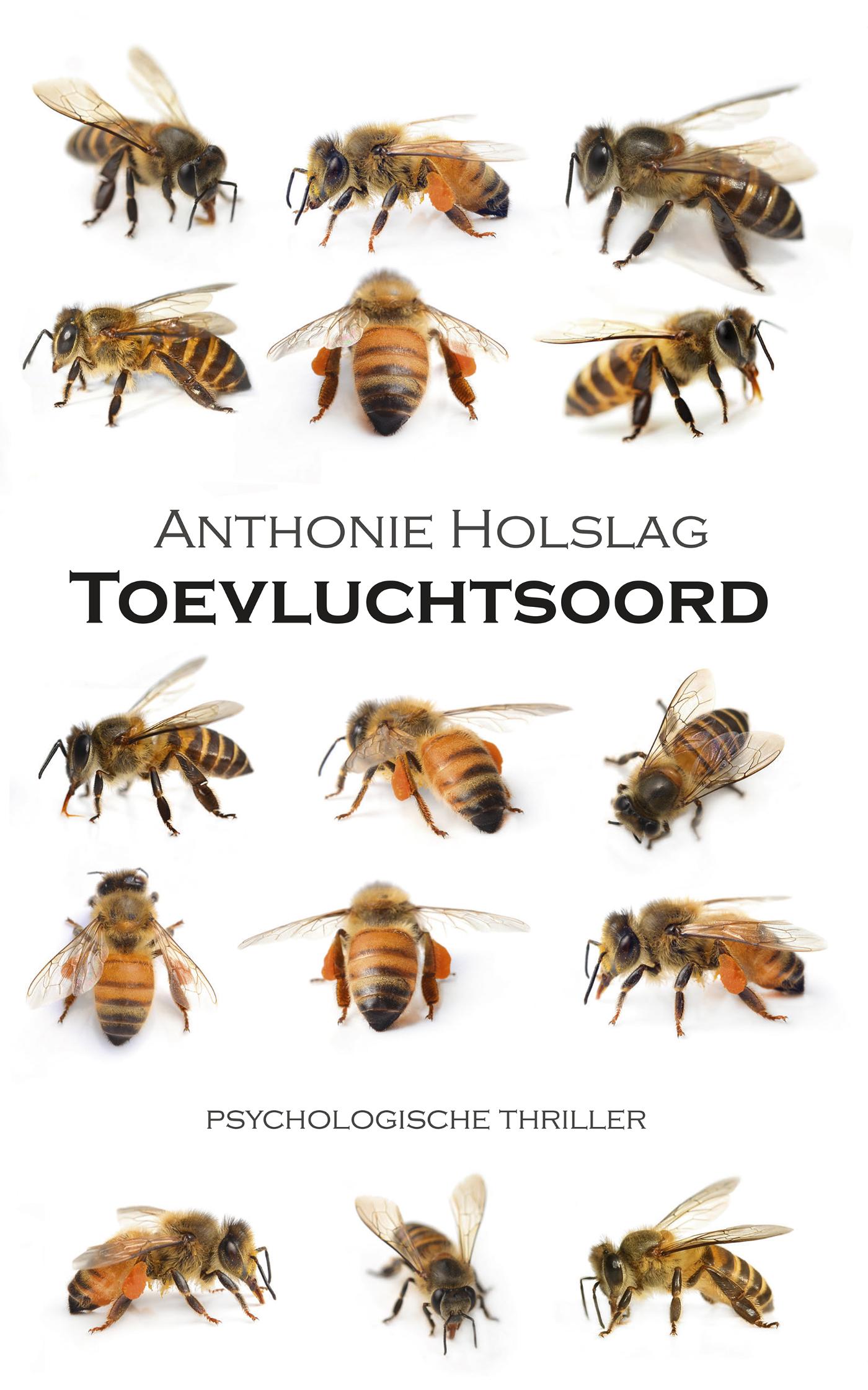 Omslag van Toevluchtsoord