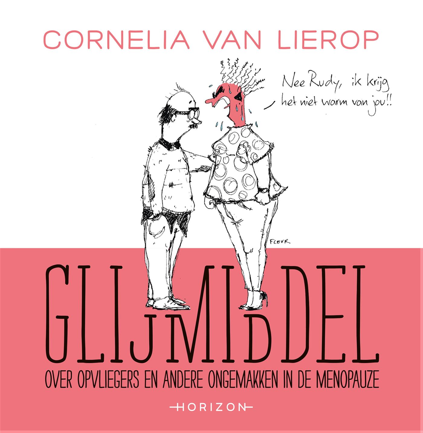 Omslag van Glijmiddel