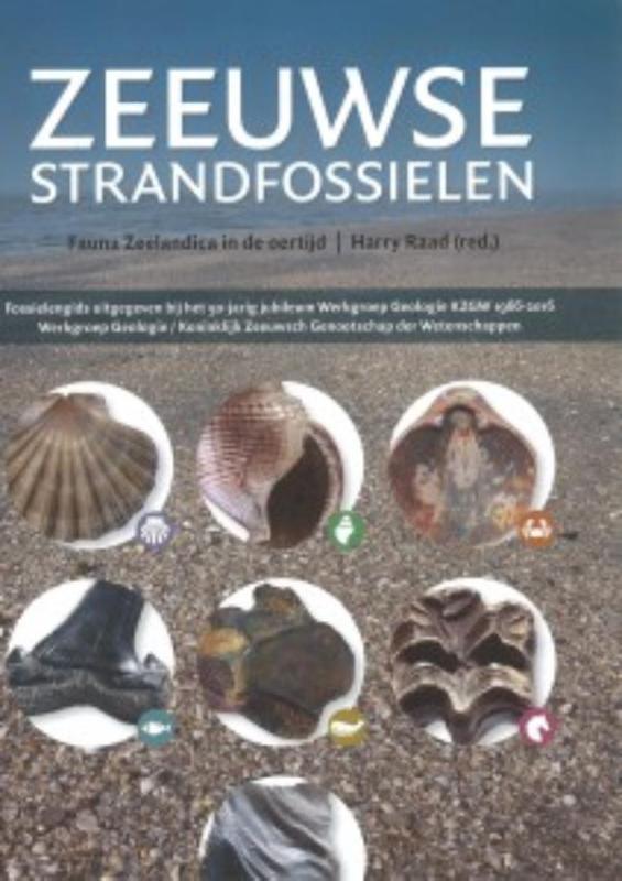Omslag van Zeeuwse strandfossielen