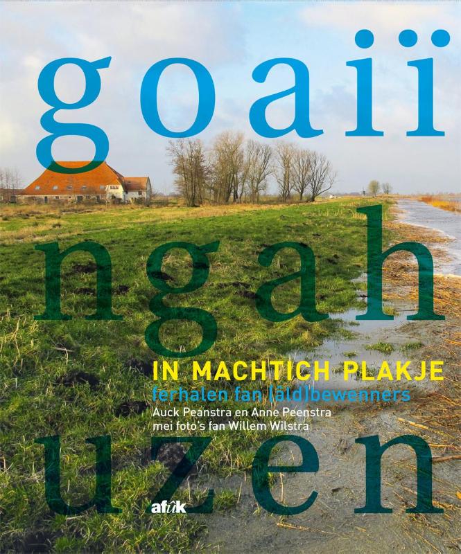 Omslag van Goaiïngahuzen