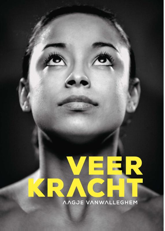 Omslag van Veerkracht