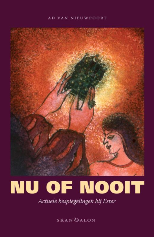 Omslag van Nu of nooit