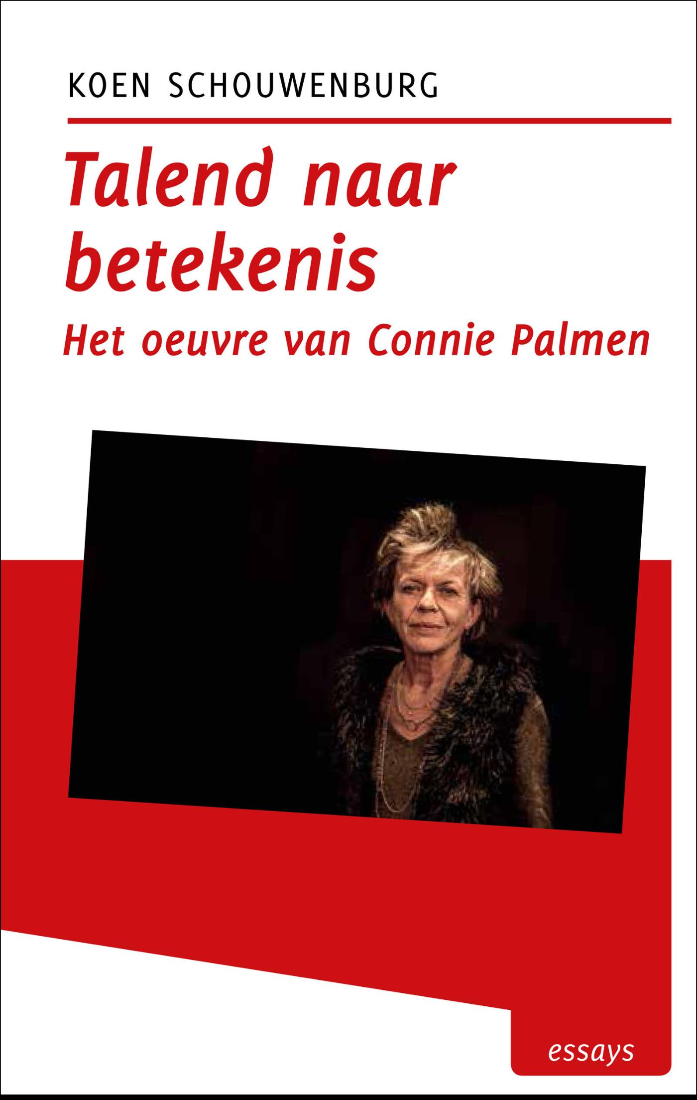 Omslag van Talend naar betekenis