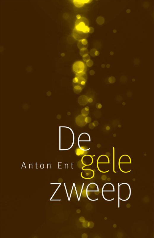 Omslag van De gele zweep