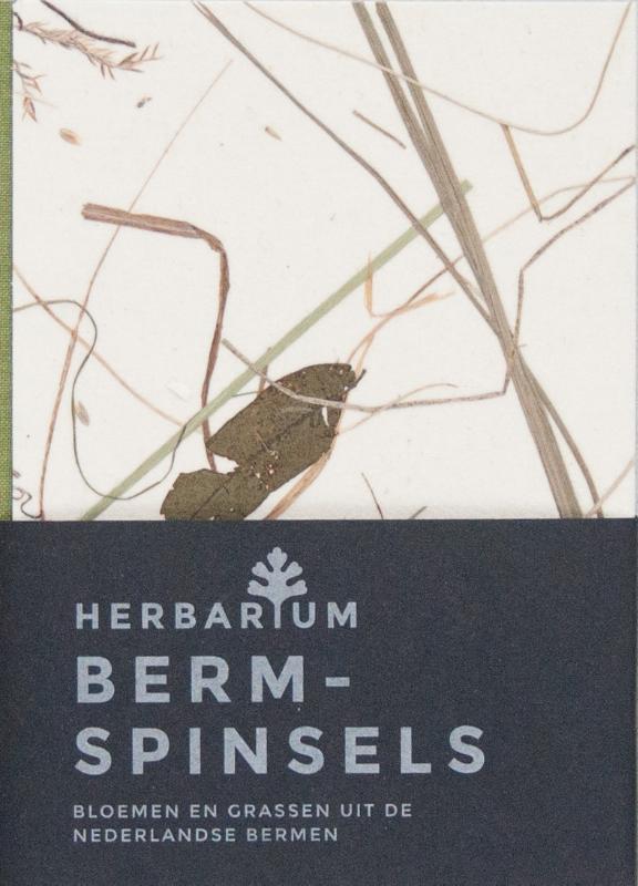 Omslag van Bermspinsels