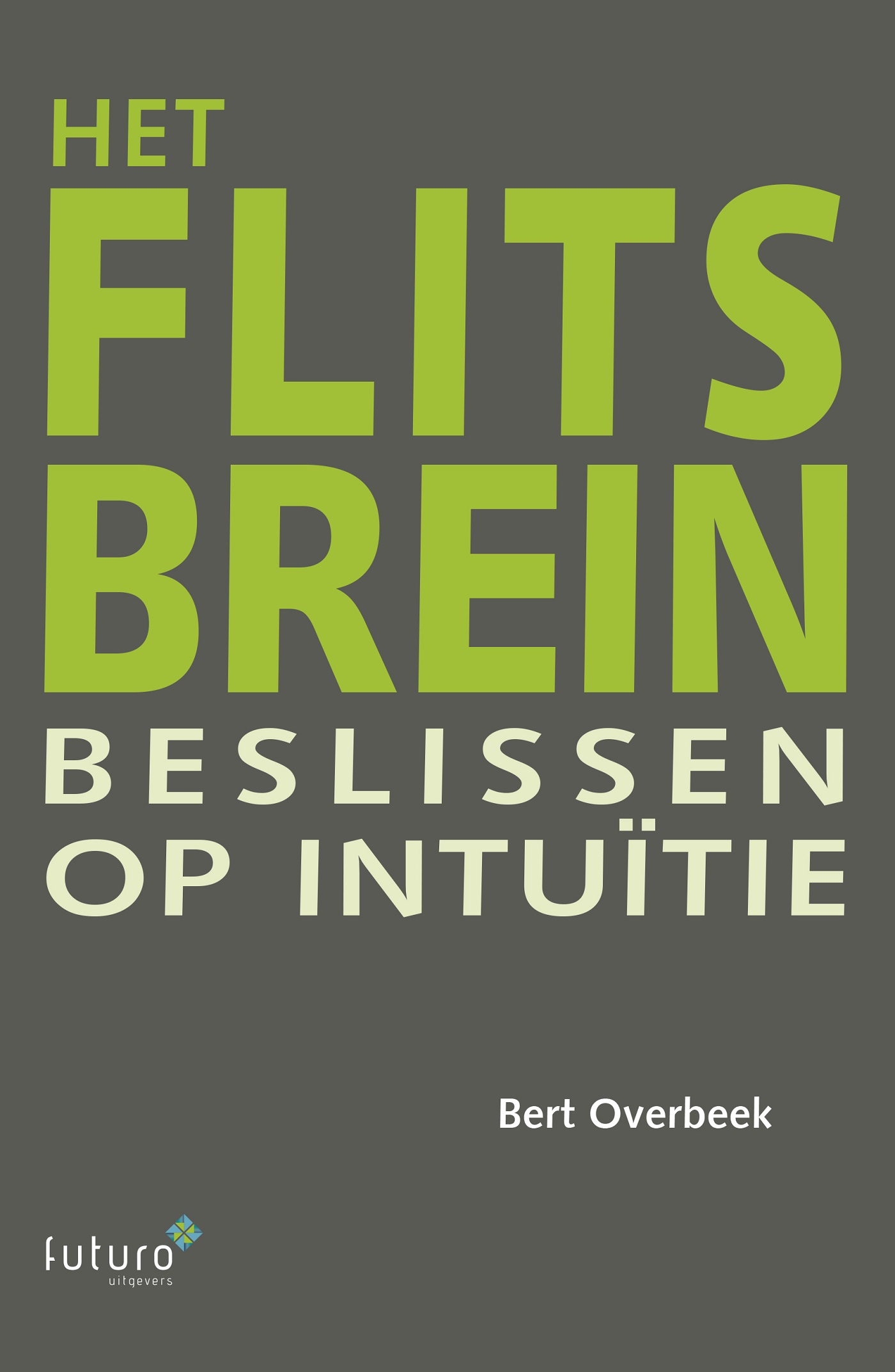 Omslag van Het flitsbrein