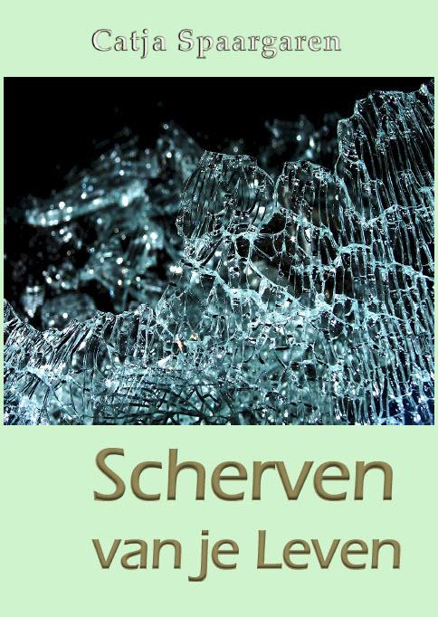 Omslag van Scherven van je leven