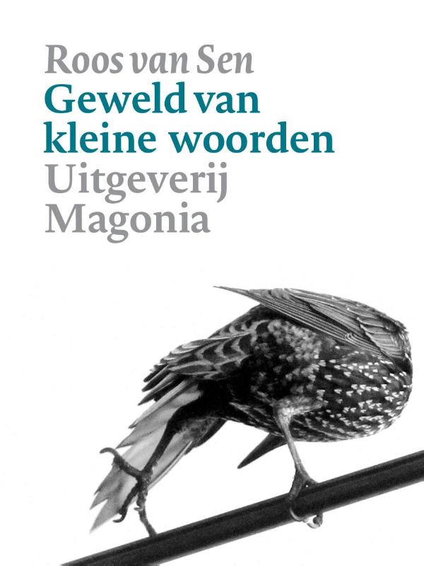 Omslag van Geweld van kleine woorden
