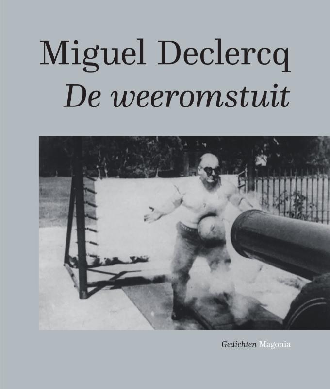 Omslag van De weeromstuit