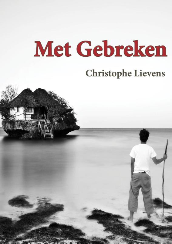 Omslag van Met gebreken