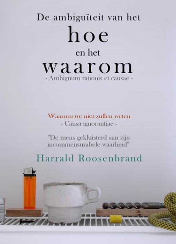Omslag van De ambiguïteit van het hoe en het waarom