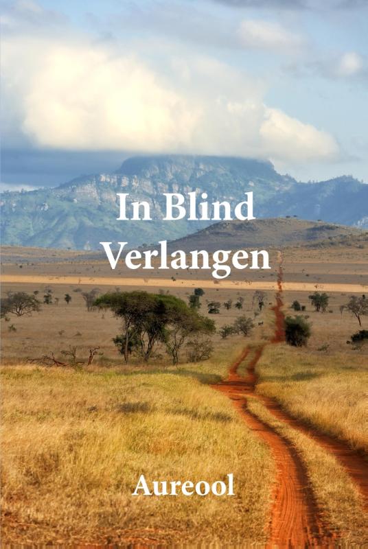 Omslag van In blind verlangen