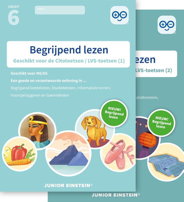 Omslag van Groep 6