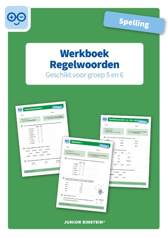 Omslag van Werkboek