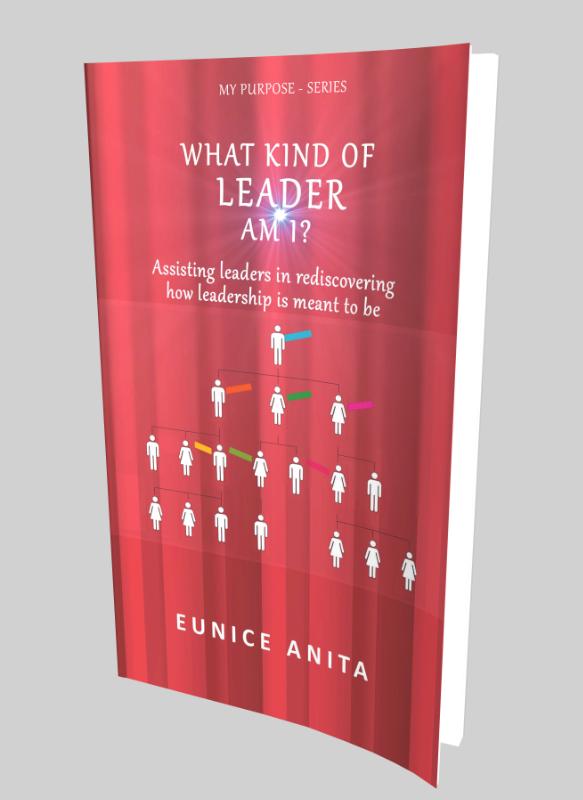 Omslag van What kind of leader am I?