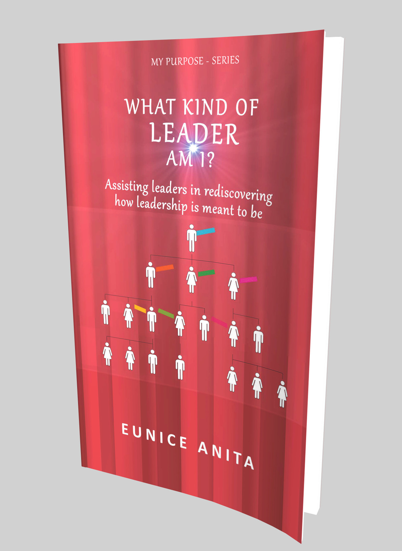 Omslag van What kind of leader am I?