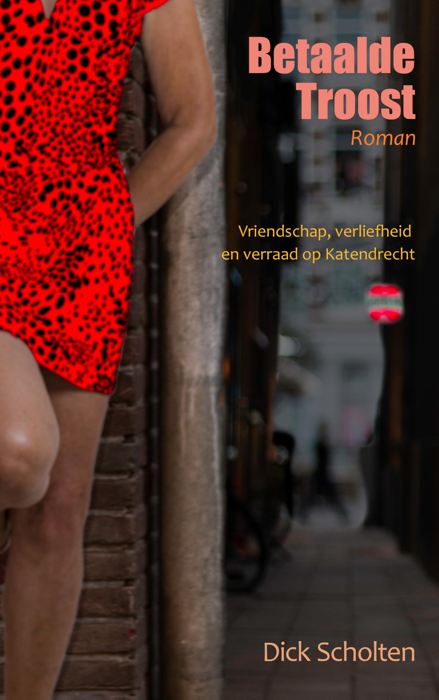 Omslag van Betaalde troost
