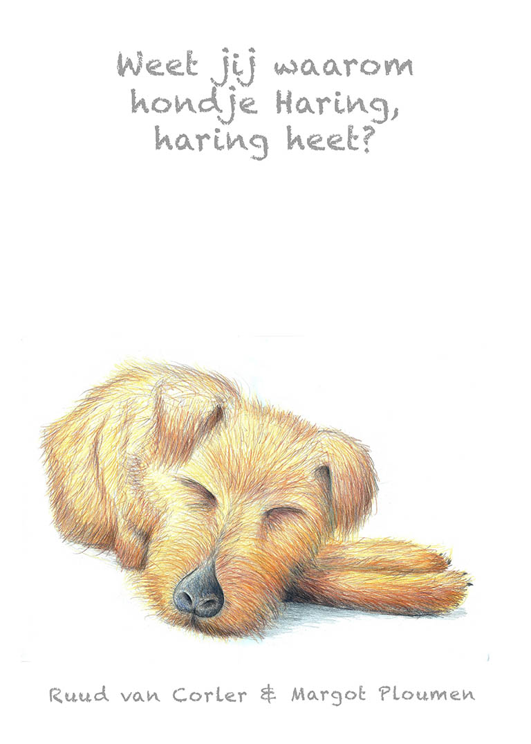 Omslag van Weet jij waarom hondje Haring, haring heet?