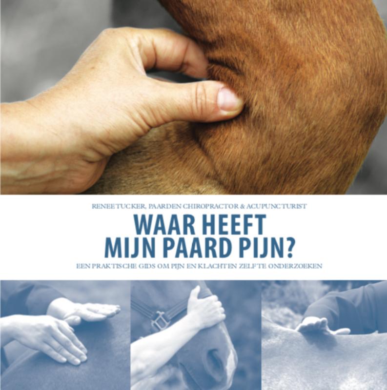 Omslag van Waar heeft mijn paard pijn?